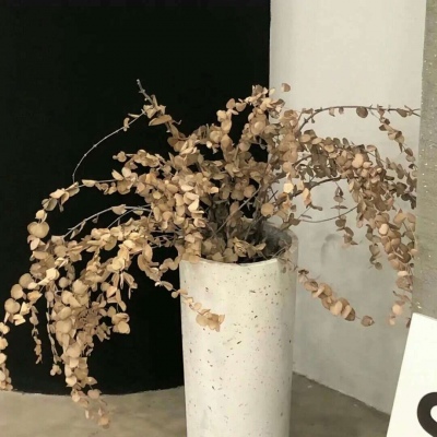 镇赉福瑞交流群